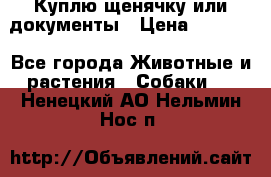 Куплю щенячку или документы › Цена ­ 3 000 - Все города Животные и растения » Собаки   . Ненецкий АО,Нельмин Нос п.